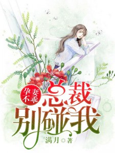 穿越之女尊冷淡妻主