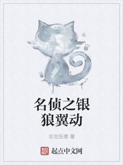 红尘时代小说全文免费阅读