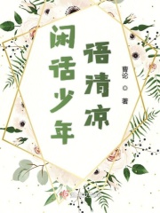 杨家将后传