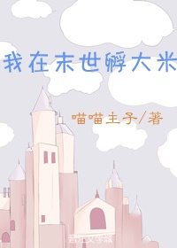 师匠本子全彩