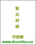 杨家将外传全文字版