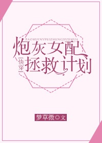 da师电视剧免费版完整版