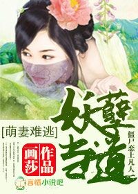 我的美女董事长