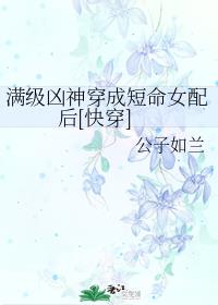 一婚还比一婚高第二部