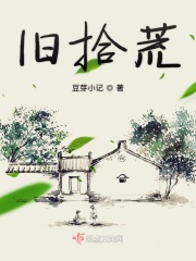 深圳合租情缘全文目录