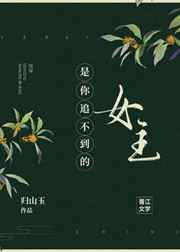 巫师小说