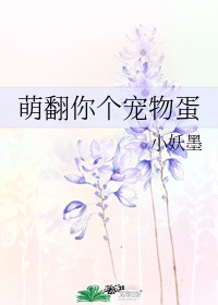 芙蓉王妃