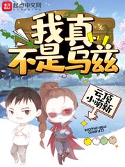 师徒多r车推荐