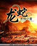 魏无羡蓝忘机各种play