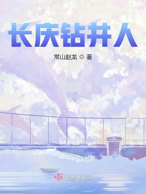 苏菲赵东来小说苏菲正版