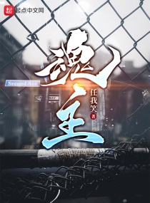 归去来电视剧原创小说