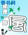 极品丝袜小说合集