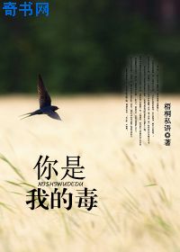 龙珠布尔玛本子