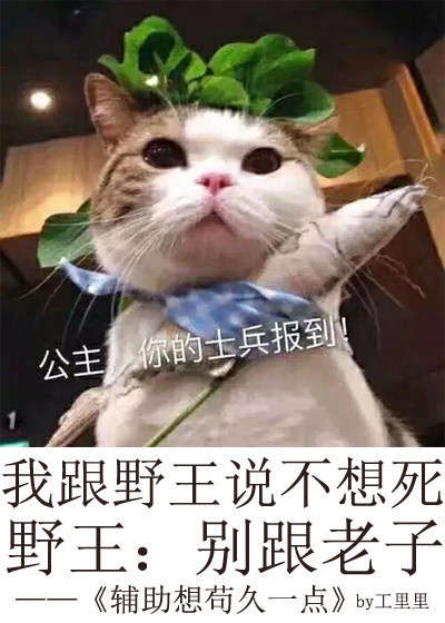 白小洁高小义