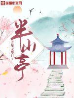 陈冠希与张柏芝的dvd