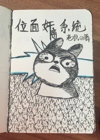 贾冰小品全集