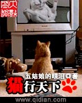 极品家丁女主角