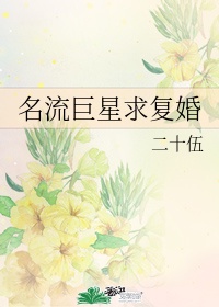 薛家小媳妇txt