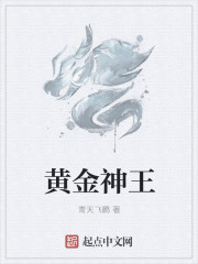 巫师小说