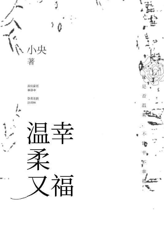 中文字幕精品亚洲无线码二区