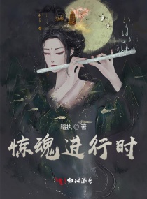 苏柔小说阅读免费