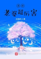 《女律师的堕落》高清在线观看