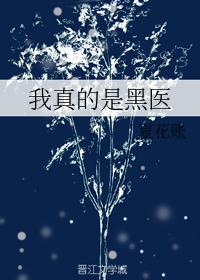 赵晓东陈红小说