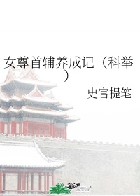 公交小说