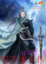 绝品盲技师小说