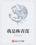 师傅不要了分节阅读