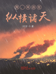 韩世雅情事2024无删减在线观看