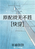 野狼社区破解免费视频