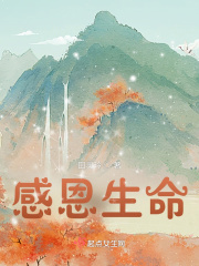 tk文章恶魔刑房