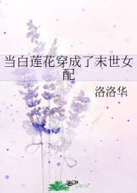 离婚案件