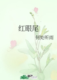 菠萝菠萝蜜免费视频