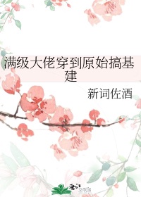 桃花视频免费版高清版