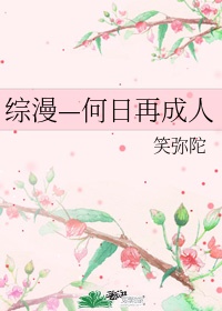 三妻四妾高清完整版电影