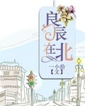 都市之极乐后宫完整版