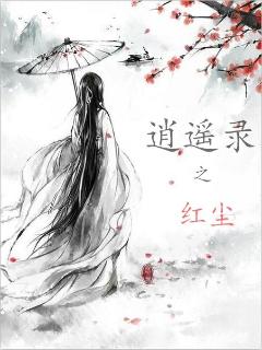 无爱言婚叶落无心小说