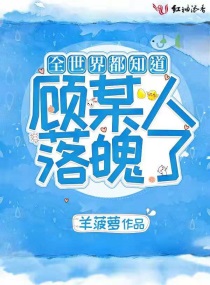 红楼梦h版