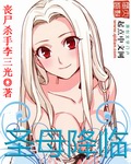 旋风少女2小说