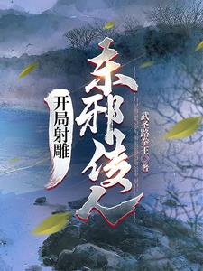 diskgenius破解版