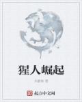 李师师电视剧完整版高清免费