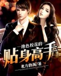 后宫露营第9集无删减在线观看