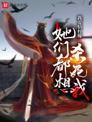 天将雄师动画片