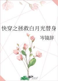 hbf小组小君系列种子