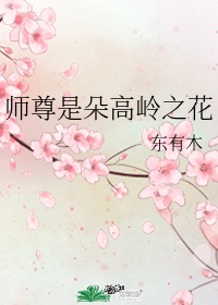 秦时明月之后宫系统