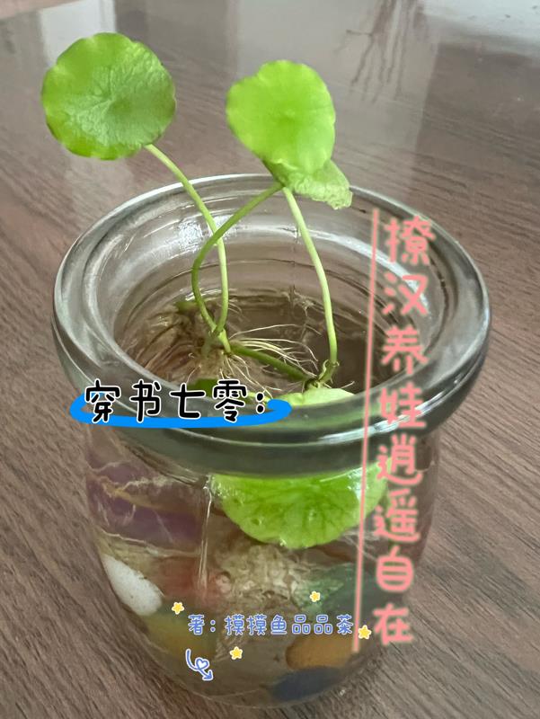 毛茸茸的阴部