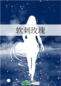 男插女漫画