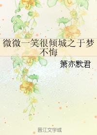 隐形将军剧情分集介绍